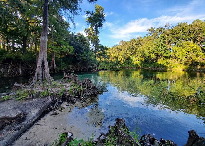 Madison Blue Spring State Park photo