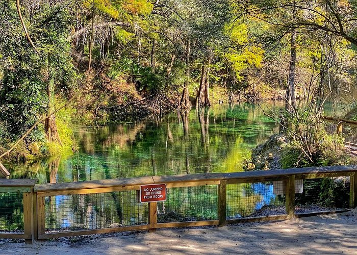 Madison Blue Spring State Park photo