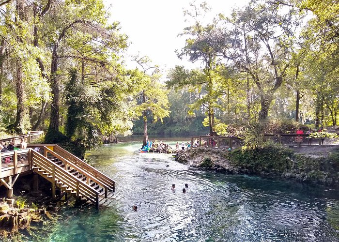 Madison Blue Spring State Park photo