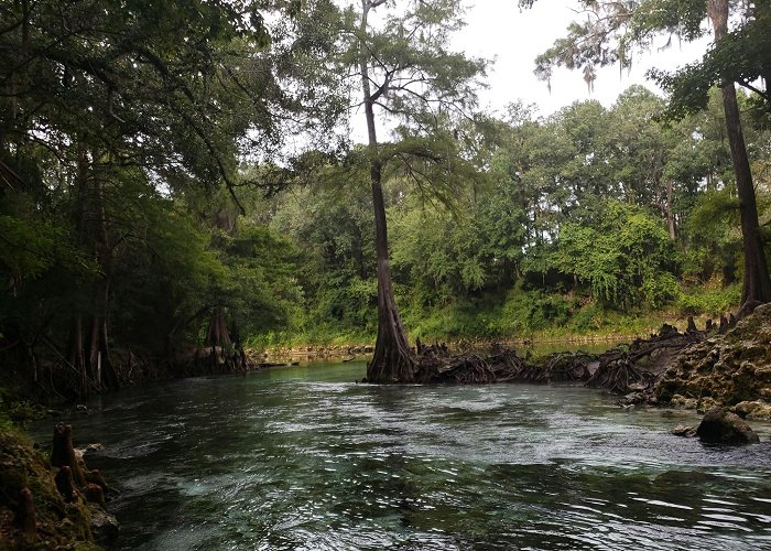 Madison Blue Spring State Park photo