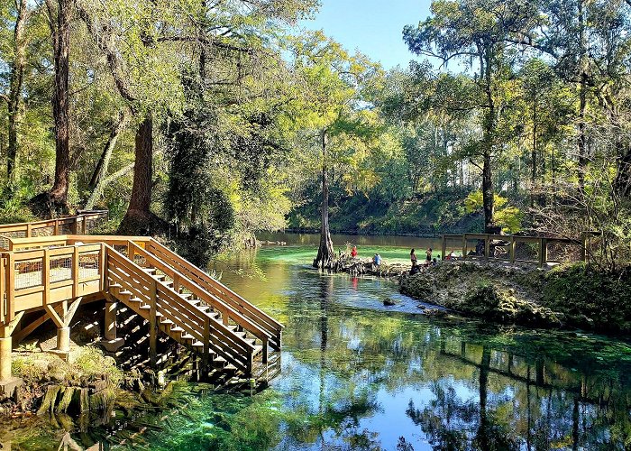 Madison Blue Spring State Park photo