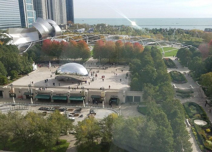 Maggie Daley Park photo