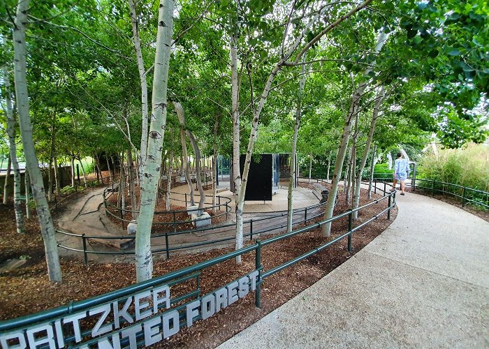 Maggie Daley Park photo