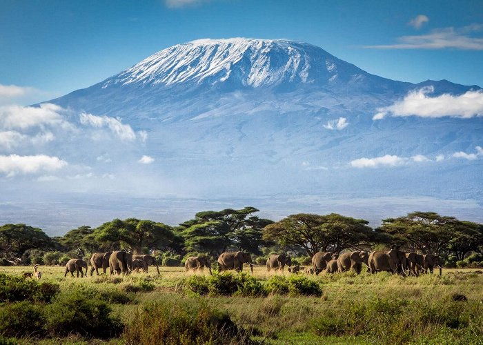 Mount Kilimanjaro photo