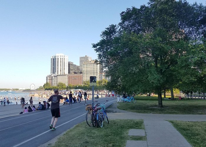 Oak Street Beach photo