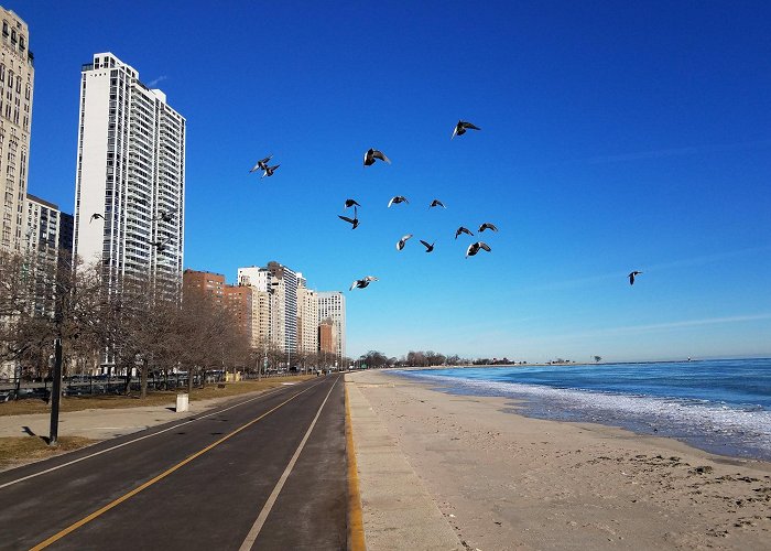 Oak Street Beach photo