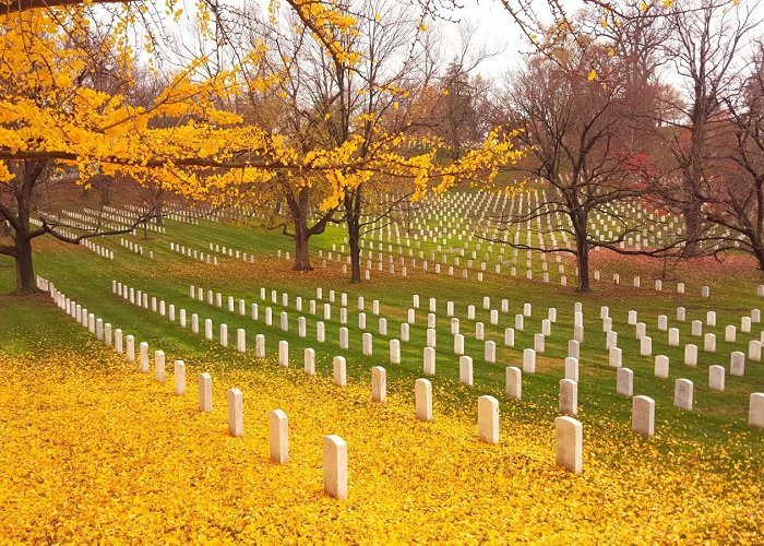 Arlington National Cemetery photo