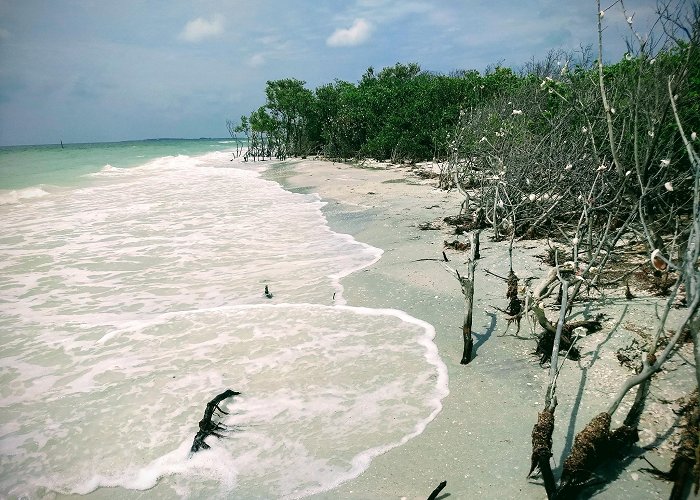 Caladesi Island State Park photo