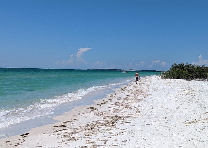 Caladesi Island State Park photo