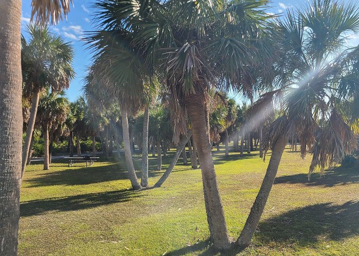 Caladesi Island State Park photo