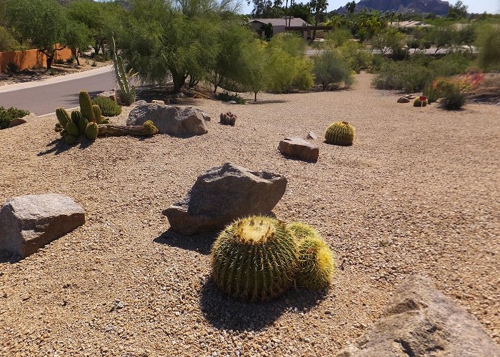 Camelback Mountain photo