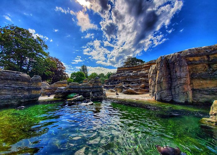 Woodland Park Zoo photo