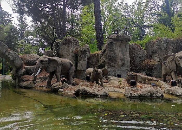 Parque de Atracciones de Madrid photo