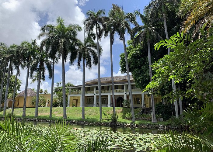 Bonnet House Museum and Gardens photo