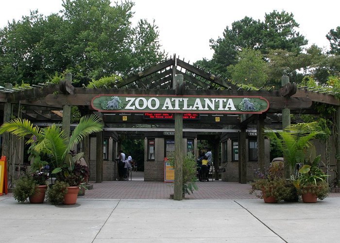 Zoo Atlanta photo