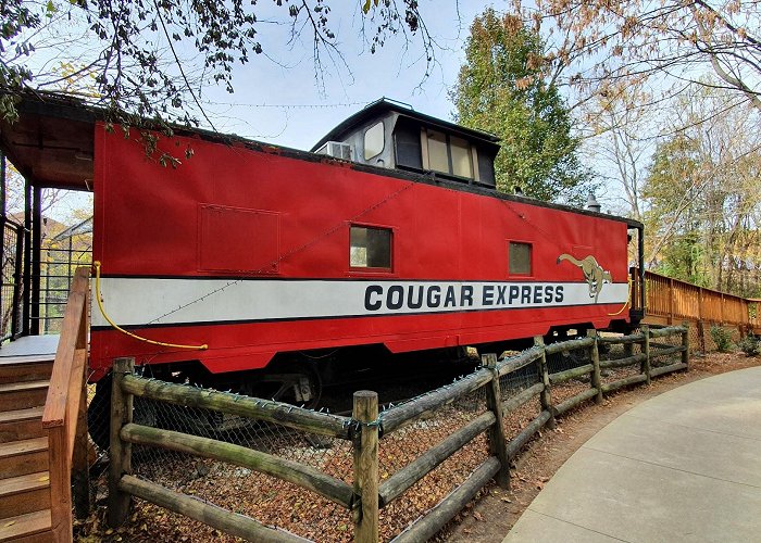 Chattanooga Zoo photo