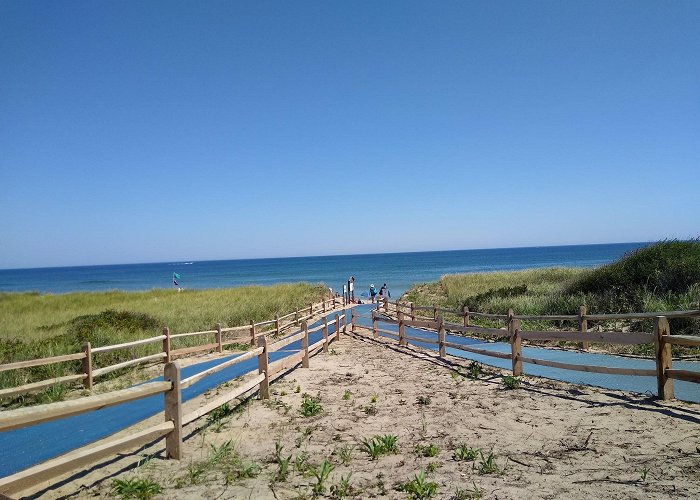 Coast Guard Beach photo