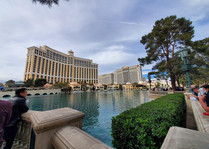 Fountains of Bellagio photo