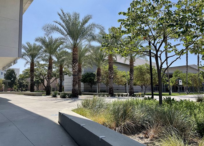 California State University Fullerton photo