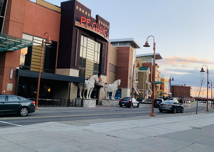 Walden Galleria Mall photo