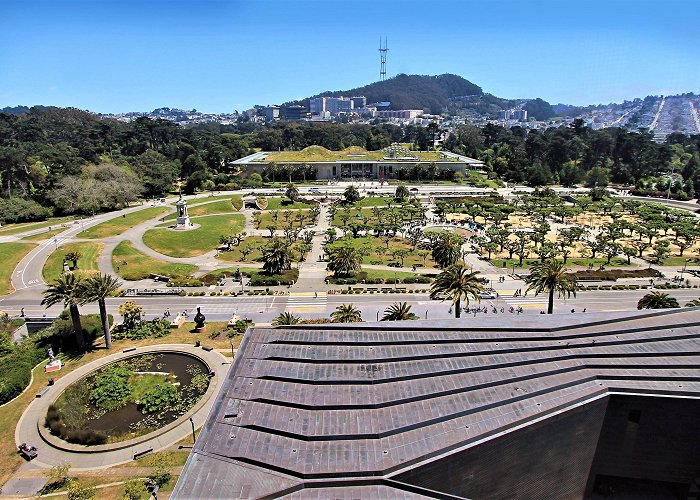 Golden Gate Park Golden Gate Park: Mid Park Ramble – San Francisco Parks Alliance photo