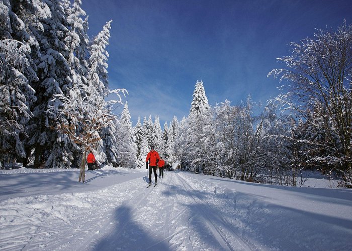 Hohe Reuth Ski Lift BERGFEX: Cross-country skiing Schöneck / Vogtland: Cross-country ... photo