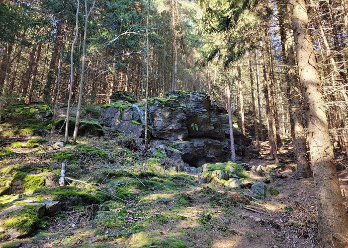 Saidenbach lake Naturlehrpfad Geigenbachtalsperre Poppengrün - BERGFEX - Thematic ... photo