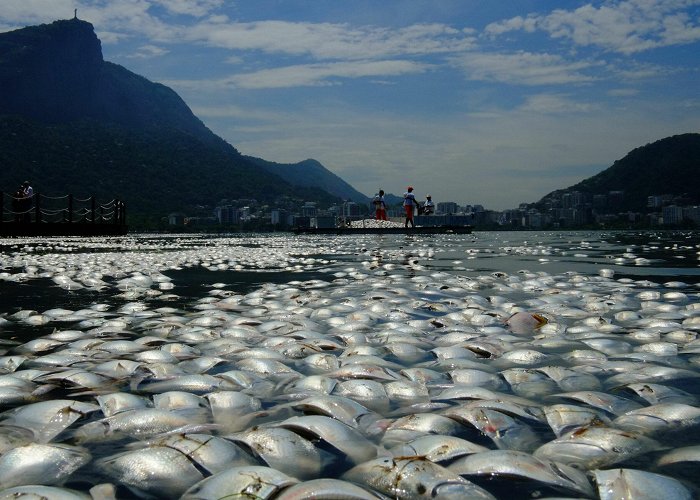 Rodrigo de Freitas Lake The Current Rate of Ocean Warming Could Bring the Greatest ... photo