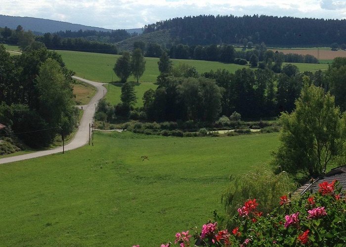 Gläserne Scheune LANDGASTHOF AYRHOF - Inn Reviews (Kollnburg, Germany) photo