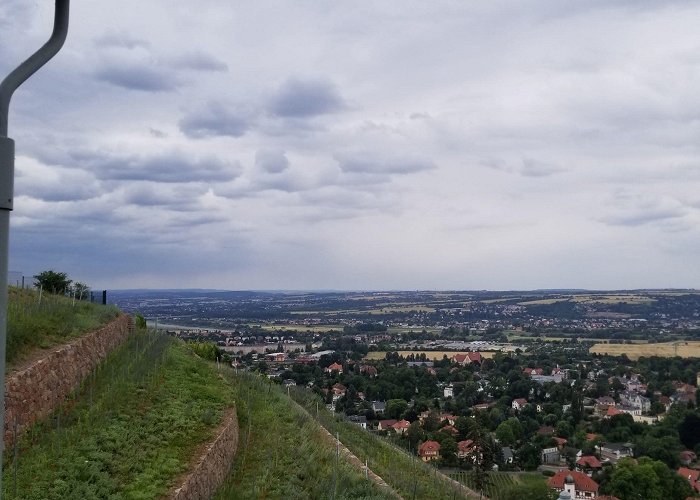 Käthe Kollwitz memorial site Moritzburg | Dresden Summer Language Program 2018 photo