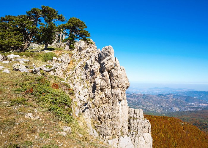 Pollino National Park Visit Viggianello: 2024 Travel Guide for Viggianello, Basilicata ... photo