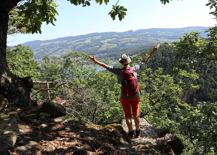 Herberstein Zoo Vulture Wall Trail • Hiking Route » outdooractive.com photo