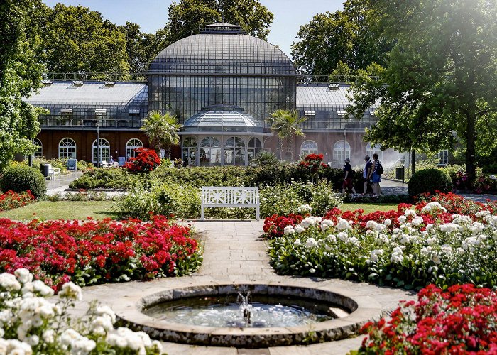 Palm Gardens Palmengarten Frankfurt: tropical gardens in the city - Germany Travel photo