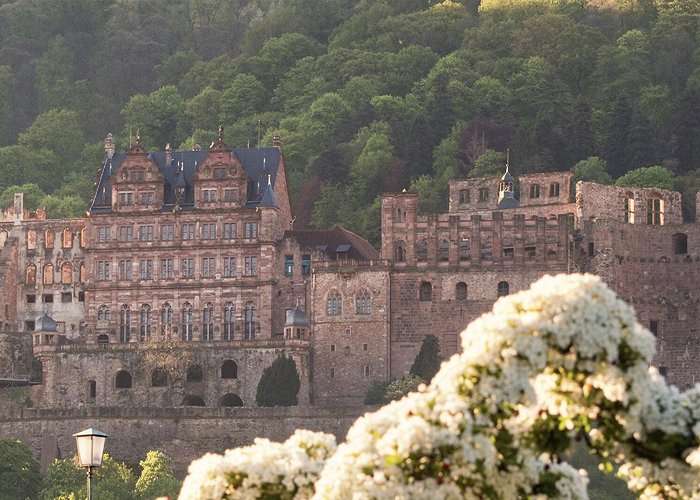 Frankenstein Castle Castles and palaces along the Bergstrasse - Tourismus Service ... photo