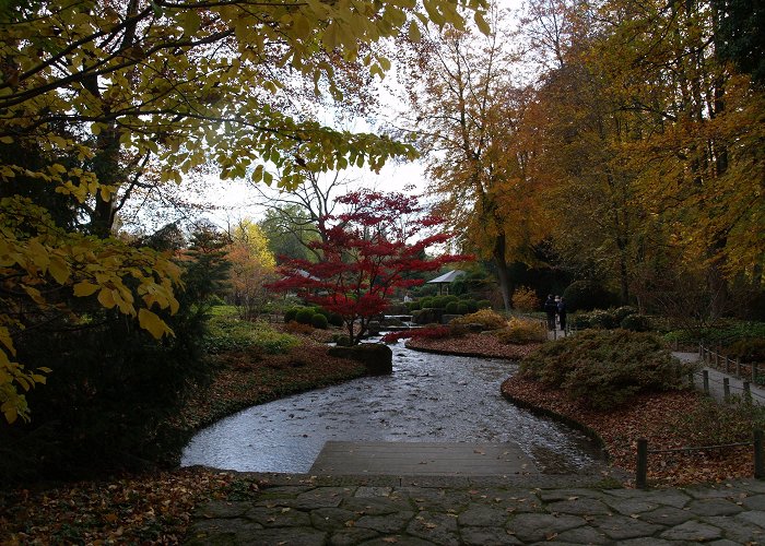 Augsburg Botanical Garden Augsburg Botanic Garden in Augsburg: 1 reviews and 2 photos photo