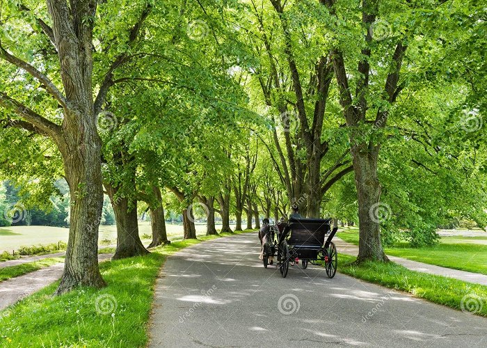 Lichtentaler Allee Park The Lichtentaler Allee in the Spa Park of Baden Baden _ Baden ... photo