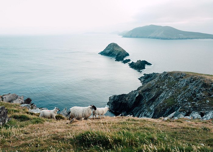 Dunmore Head Visit Dunmore Head with Discover Ireland photo