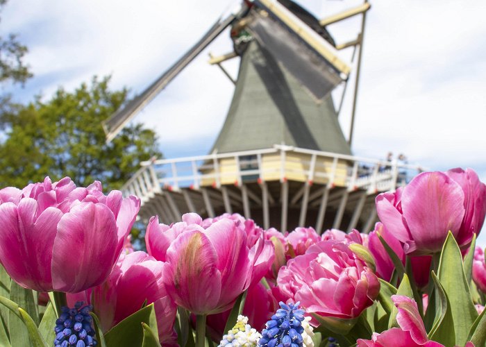 Keukenhof Visiting Keukenhof, the world's largest tulip garden | Blushrougette photo