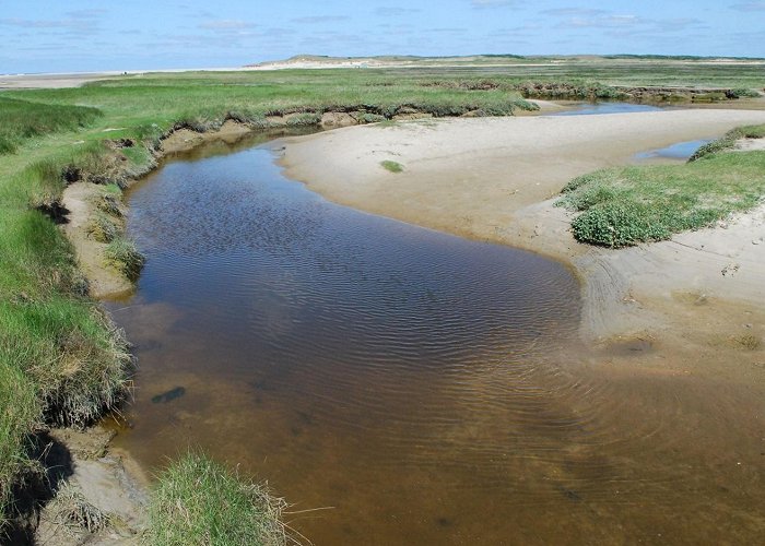 Ecomar Ecomare - natuurmuseum & zeehondenopvang - VVV Texel photo