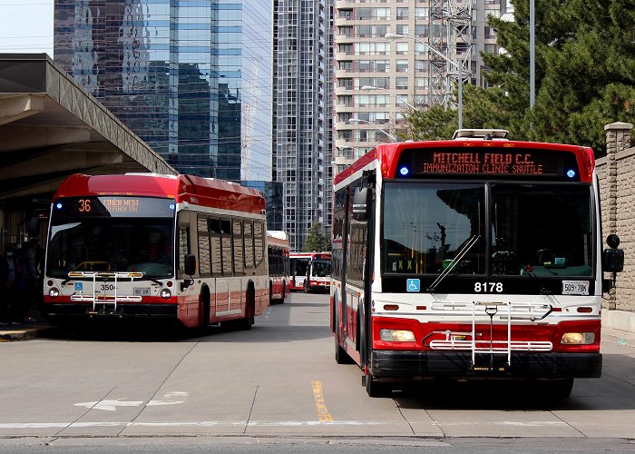 Mitchell Field Arena Transit Toronto Image: 20210410 - 200 Mitchell Field Arena Shuttle ... photo