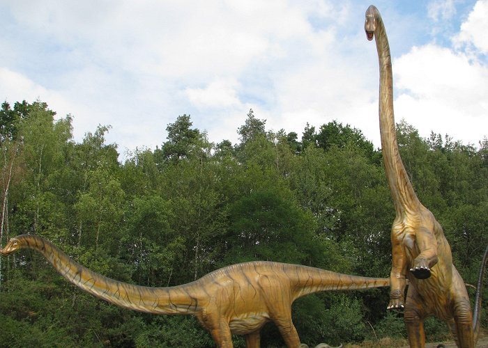 Dino Park Visit Rehburg-Loccum: 2024 Travel Guide for Rehburg-Loccum, Lower ... photo