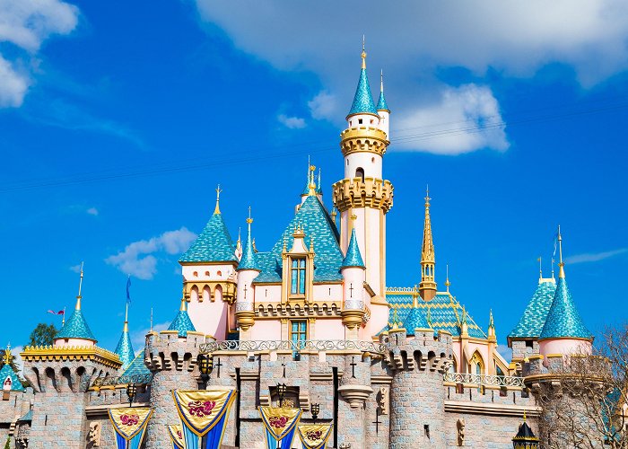 Disneyland Park What to Know If You're Planning a Trip to Disneyland, California ... photo