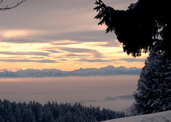 Giselawarte Giselawarte above Eidenberghaus, Linz • Hiking route ... photo