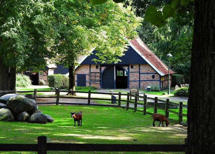 Openluchtmuseum Los Hoes Ootmarsum Location Open Air Museum Ootmarsum - Ootmarsum photo