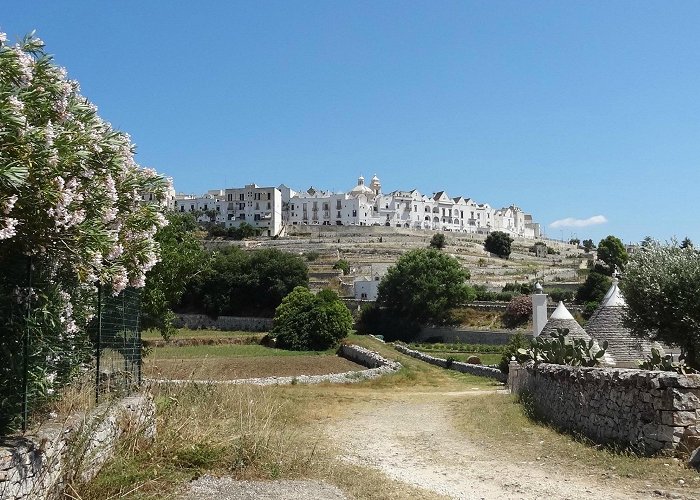 Valle D_itria E Dintorni IL SASSOFONO - Lodging Reviews (Cisternino, Italy - Puglia) photo