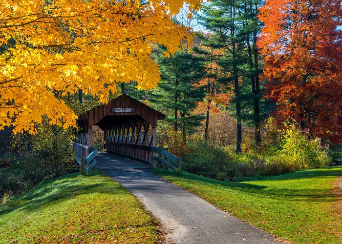 Allegany State Park Allegany State Park-Red House Area | Salamanca, NY 14779 photo