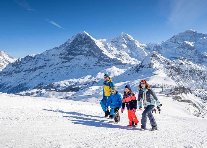 Männlichen Grindelwald-Männlichen GGM Gondola Cable Car photo