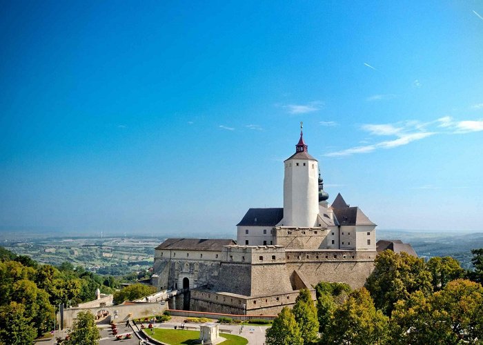 Castle Forchtenstein Forchtenstein: Forchtenstein Castle Admission Ticket photo