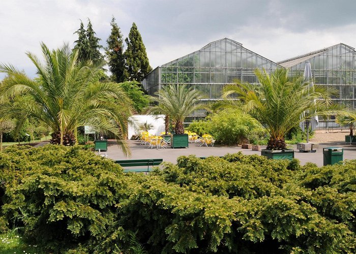 Alter botanischer Garten Places to see in Marburg | Outdooractive photo