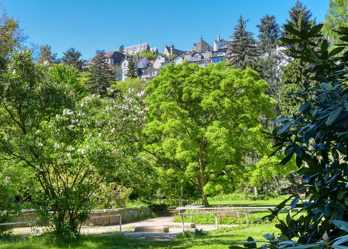 Alter botanischer Garten Erlebe Marburg Stadt und Land photo